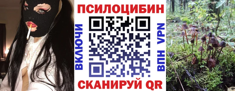 Псилоцибиновые грибы Psilocybine cubensis  где продают наркотики  Кораблино 
